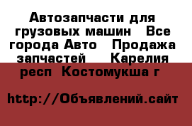 Автозапчасти для грузовых машин - Все города Авто » Продажа запчастей   . Карелия респ.,Костомукша г.